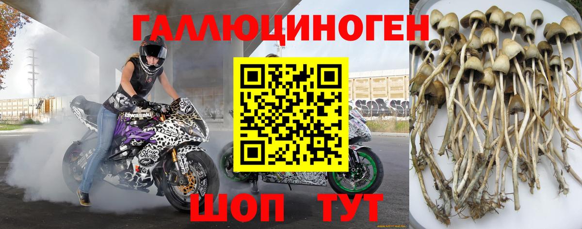 Псилоцибиновые грибы мицелий Южно-Сахалинск